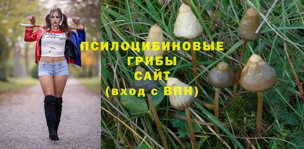 СК Алексин