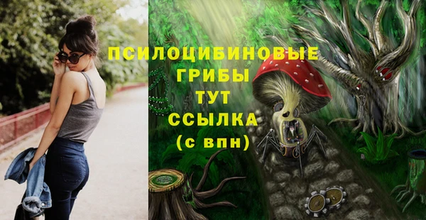 СК Алексин