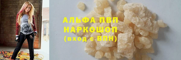 СК Алексин