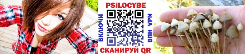 Псилоцибиновые грибы ЛСД  Купить  Нововоронеж 