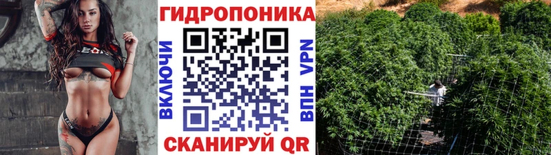 Купить закладки  Нововоронеж  МАРИХУАНА VHQ 